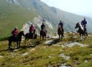 Lucky Bansko Aparthotel SPA & Relax | Photo of horse riding