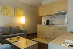 Luxury Apartment