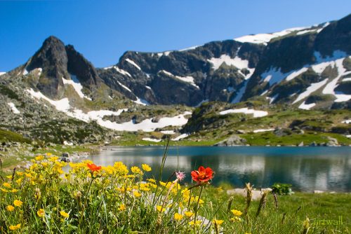 View to the mountain | Lucky Bansko