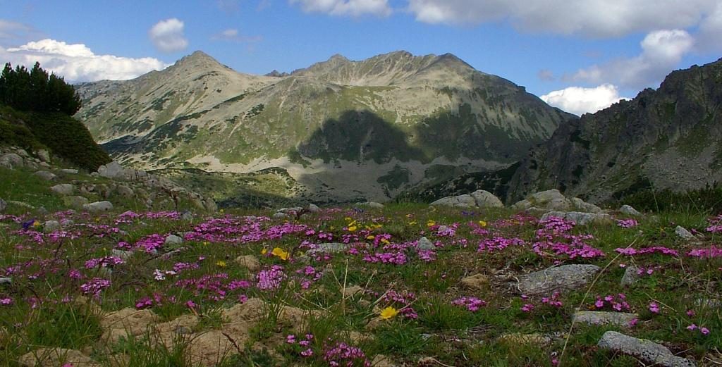 Park areas in Pirin mountain