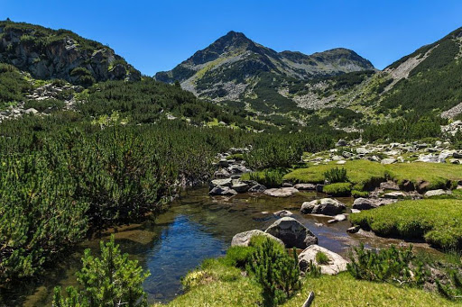 Reserves in the Pirin Mountains