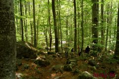 Lucky Bansko Aparthotel SPA & Relax | Hiking photo