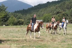 Lucky Bansko Aparthotel SPA & Relax | Horse riding during Lucky Fit