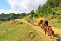 Horse riding in the mountain in Bansko | Lucky Bansko