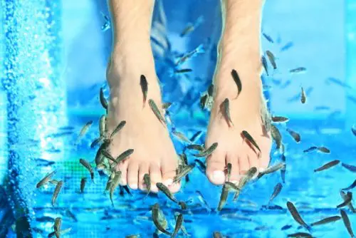 Fish massage | Lucky Bansko SPA & Relax