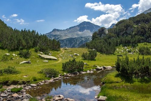 Mountain river | Lucky Bansko
