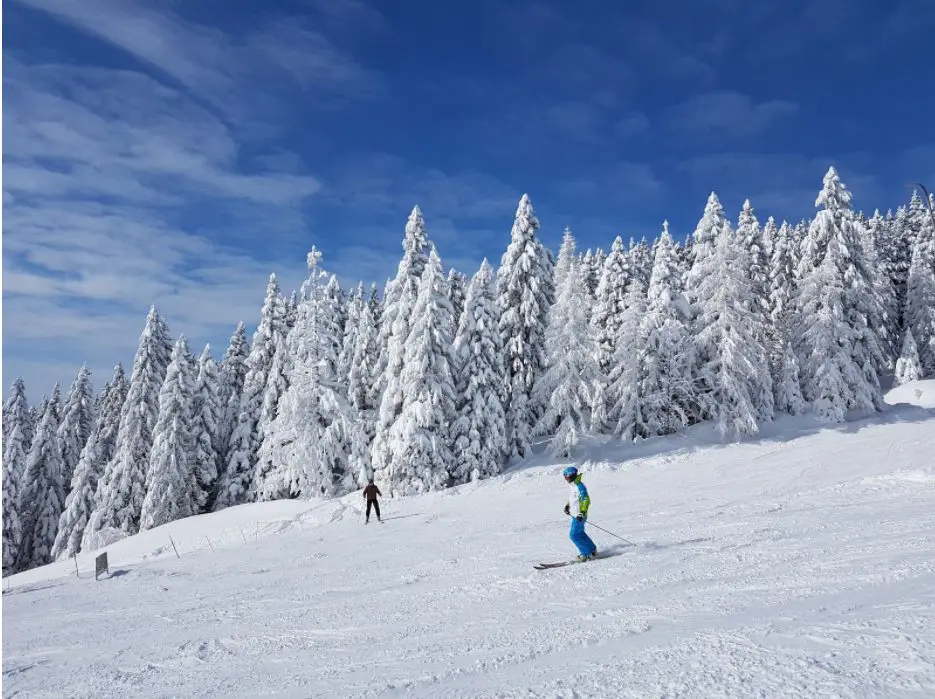 How to become a good skier?
