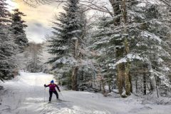 History of skiing