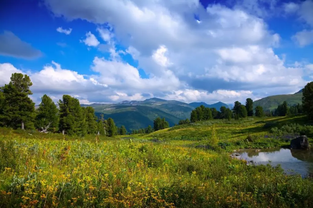 Красива гледка към планината