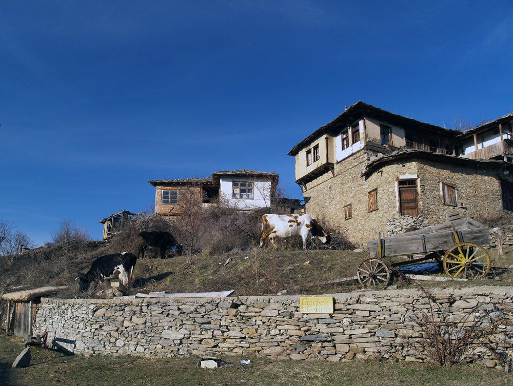 село Лещен